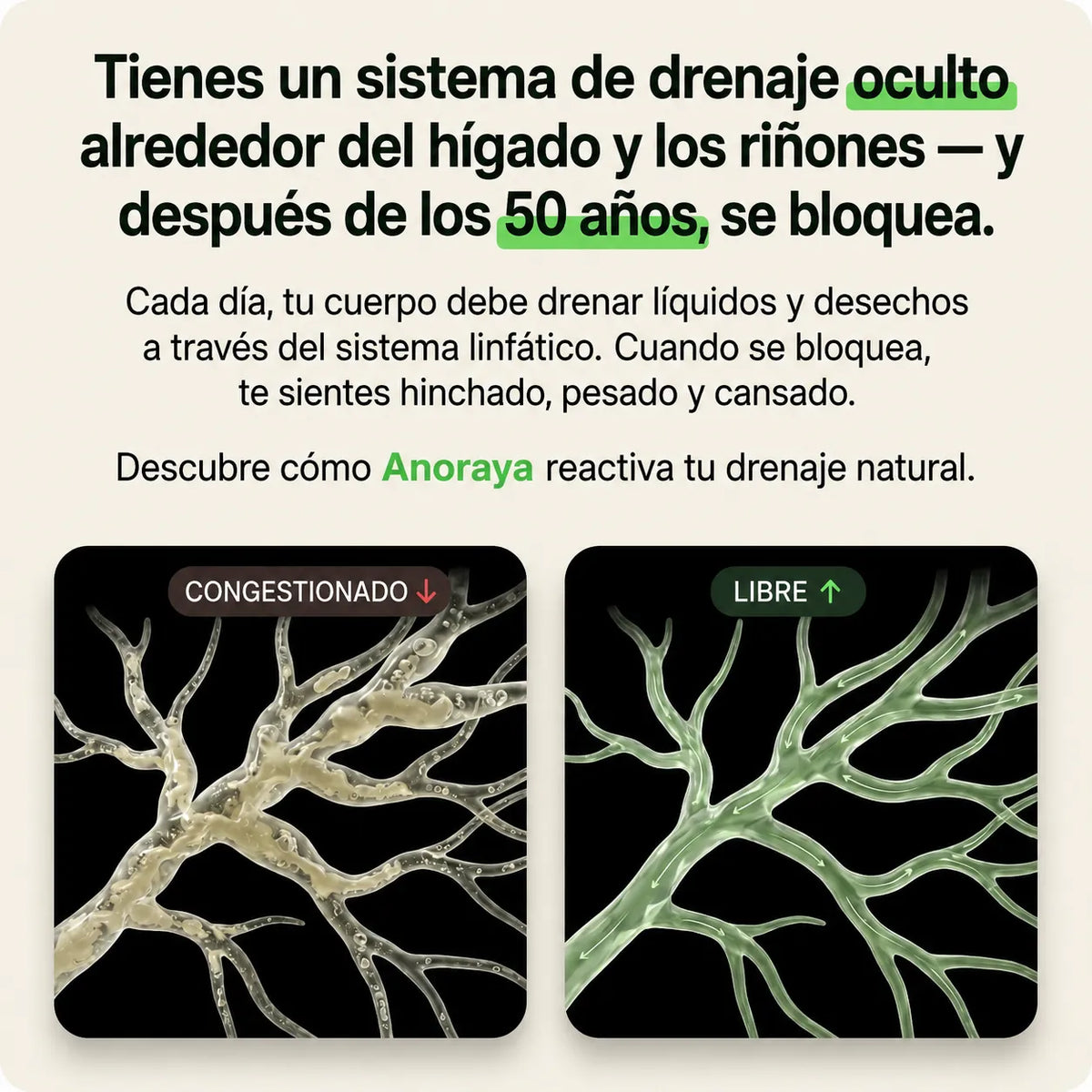 Anoraya - Drenaje linfático. Siente cómo tu cuerpo se rejuvenece en 60 días.