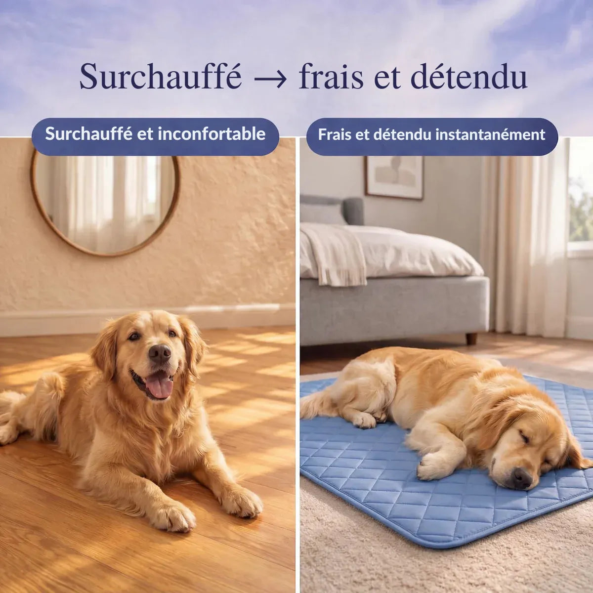Anoraya - Tapis rafraîchissant pour animaux de compagnie